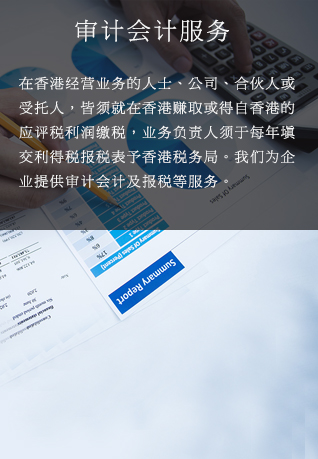 审计会计服务