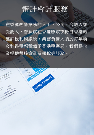 审计会计服务